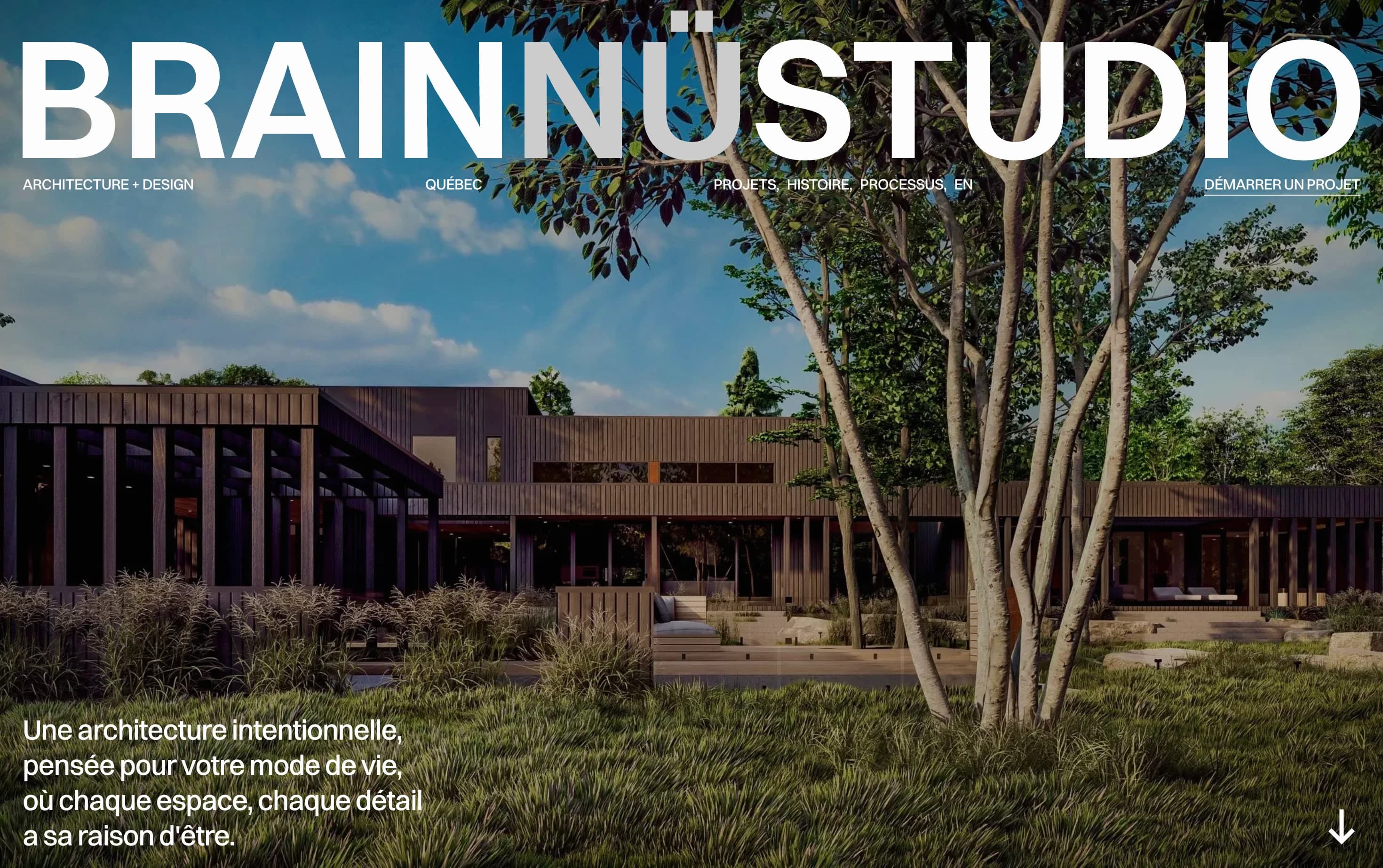 Brainnu Studio product preview